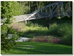 Bothell Landing - junction of the Burke-Gilman and Sammamish River Trails.