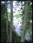 Banks of the Snoqualmie River - Fall City.