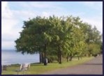 Magnuson Park - Home of the Cascade Bicycle Club.