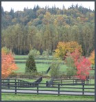 Scenic Maple Valley outside Issaquah.