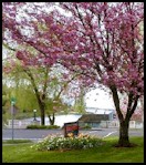 Mount Baker Park along Lake Washingtion.