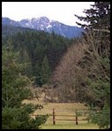 Olympic Peninsula - Lake Dawn Road Scene.